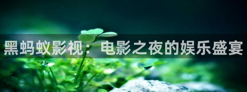 策驰影院 电视剧在线：黑蚂蚁影视：电影之夜的娱乐盛宴