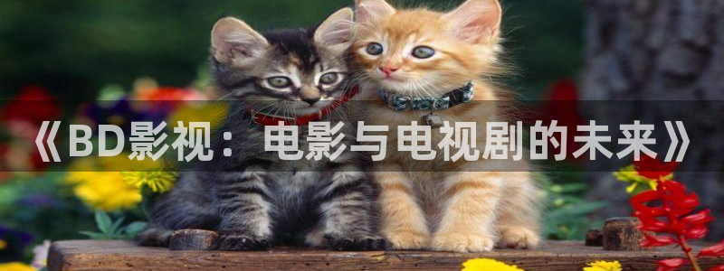 策驰星辰影视在线：《BD影视：电影与电视剧的未来》