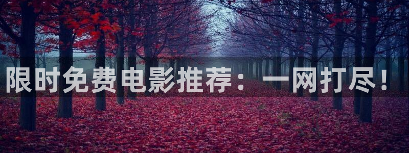 《熊出没·逆转时空》策驰影院：限时免费电影推荐：一网打尽！