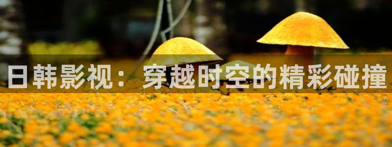 星辰影院策驰影院免费观看：日韩影视：穿越时空的精彩碰撞