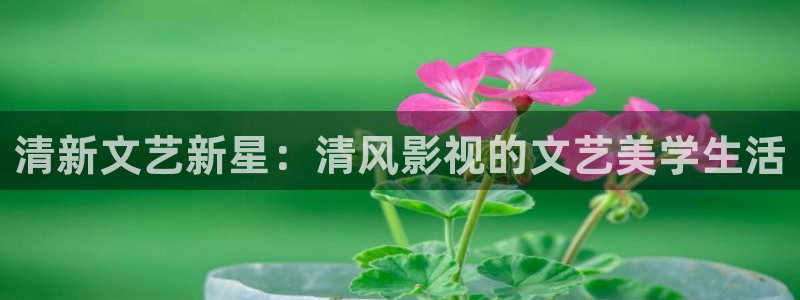 绝世天劫策驰影院：清新文艺新星：清风影视的文艺美学生活
