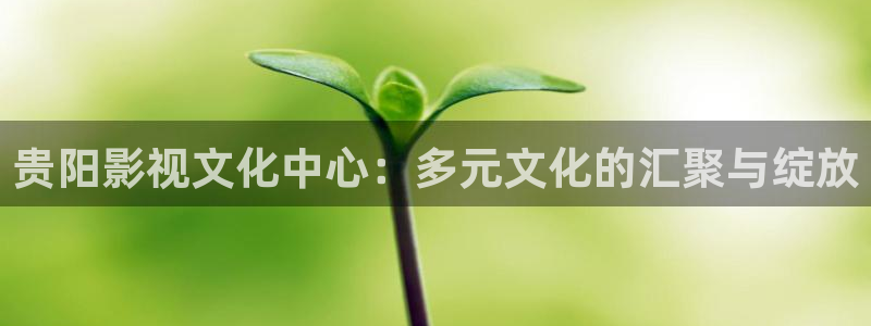 鹤唳华亭策驰影院：贵阳影视文化中心：多元文化的汇聚与绽放