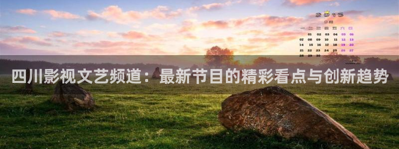 策驰影院在线看：四川影视文艺频道：最新节目的精彩看点与创新趋势