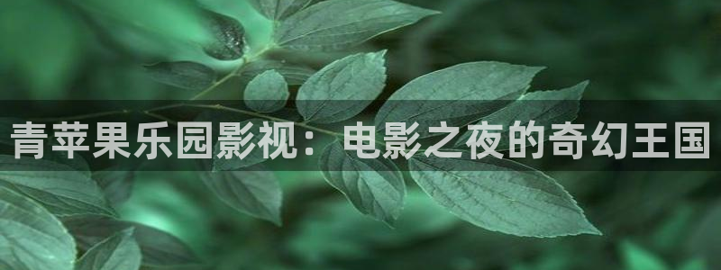 遇见爱情的利先生免费观看策驰影院