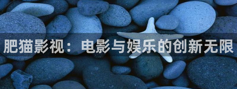 罚罪40集全免费播放策驰影院：肥猫影视：电影与娱乐的创新无限