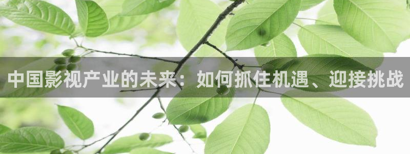 阳光之下免费观看完整版策驰影院：中国影视产业的未来：如何抓住机遇、迎接挑战